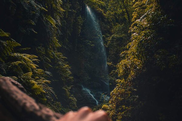 cristian-palmer-763347-unsplash-1-small