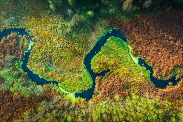 Amazonia