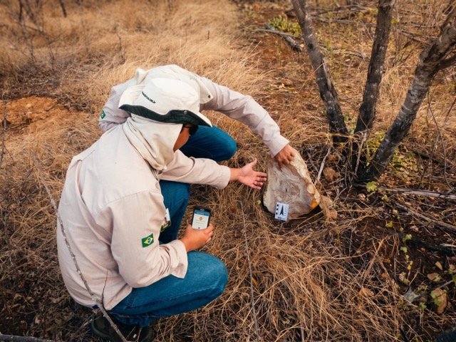 Licenciamento Ambiental - time em operação