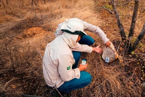 Licenciamento Ambiental em projetos complexos: por que o planejamento prévio define o sucesso do processo