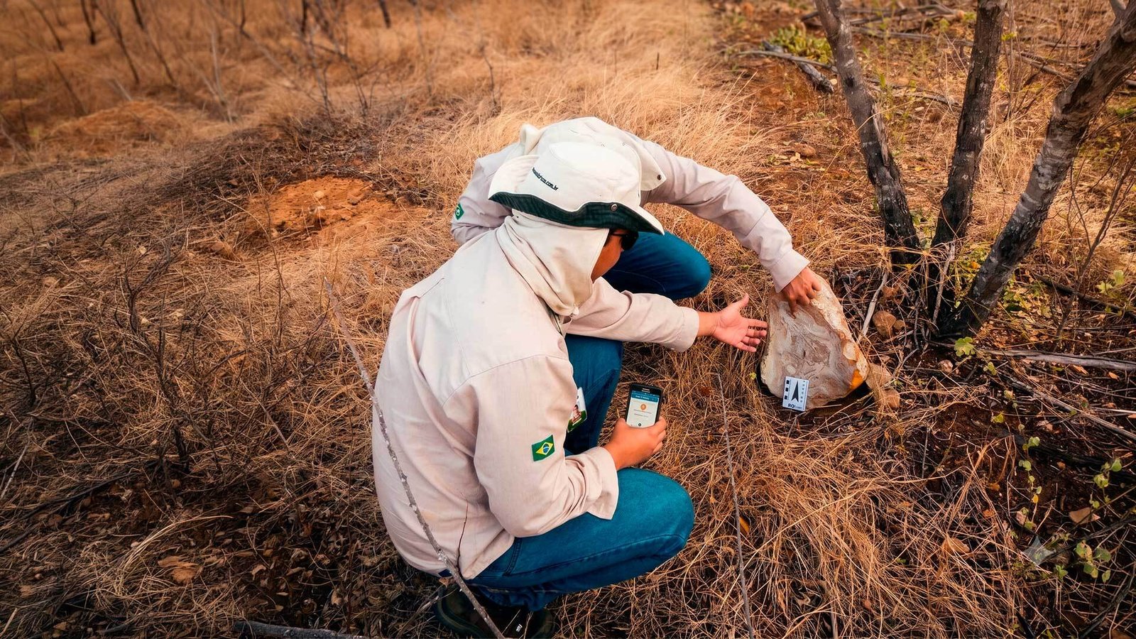 Licenciamento Ambiental em projetos complexos: por que o planejamento prévio define o sucesso do processo