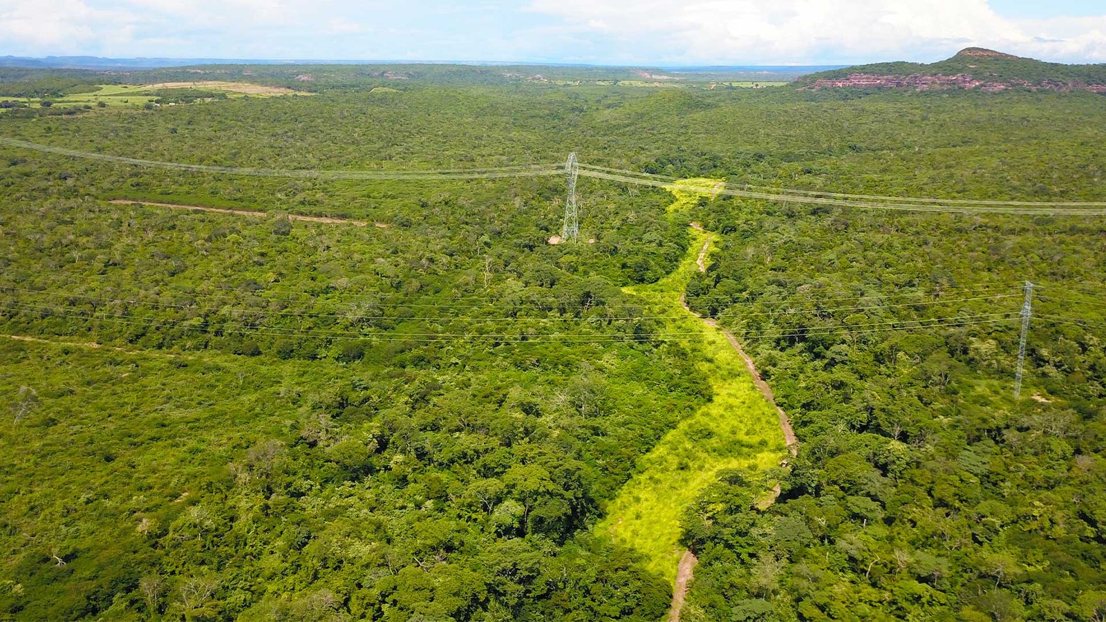 Inovação no monitoramento ambiental com drones, conectividade em campo e inteligência artificial