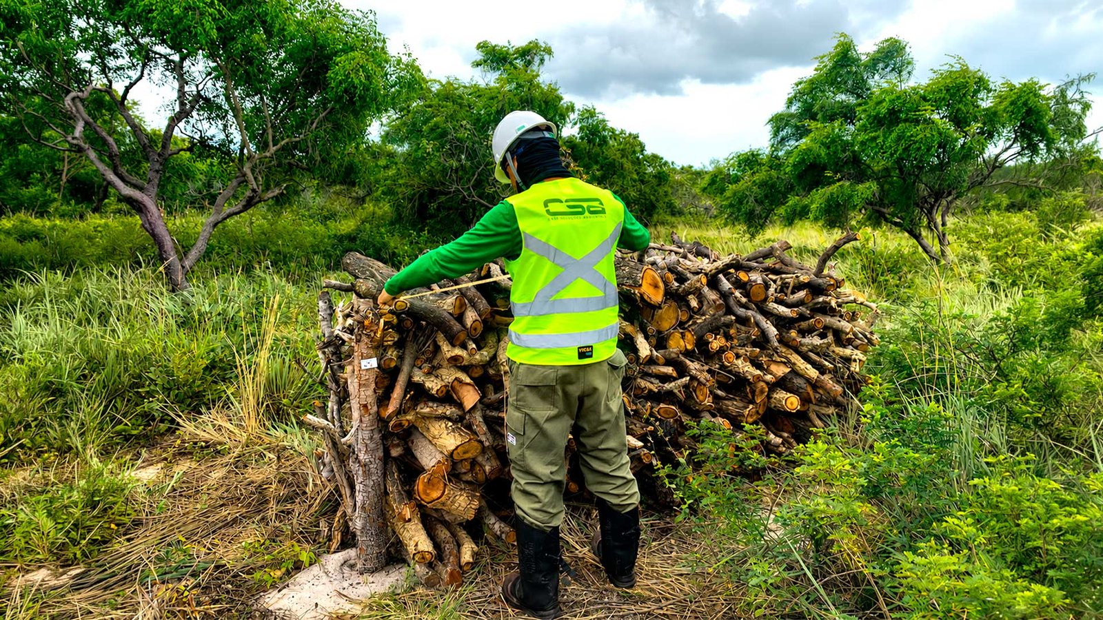 Supressão vegetal no licenciamento de infraestrutura: como estruturar as autorizações para não comprometer o cronograma de obras